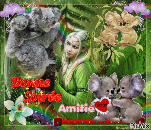 bonne soirée les koalas - Besplatni animirani GIF