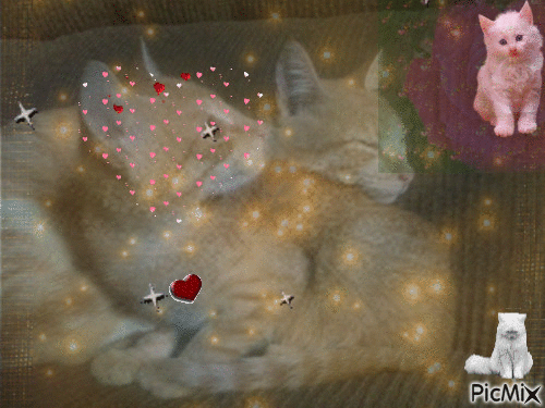 Love Cats - Darmowy animowany GIF