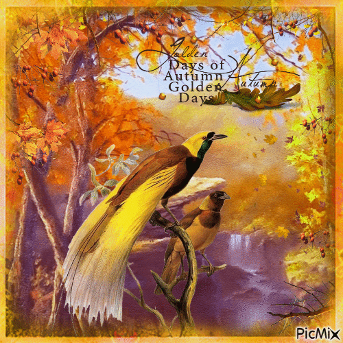 Autumn birds - Nemokamas animacinis gif