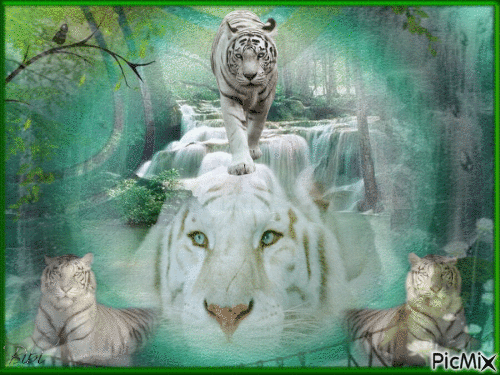 The King Of Tigers - Gratis geanimeerde GIF