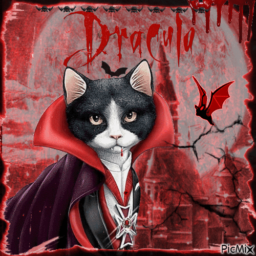 Dracula cat - Gratis animerad GIF