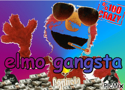 gangsta elmo - GIF animasi gratis