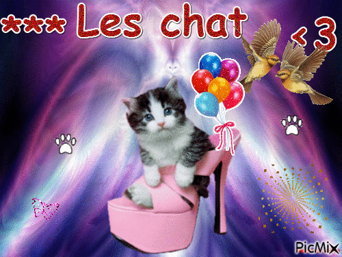 Les chats - Бесплатный анимированный гифка