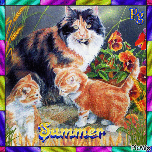 💜💛💙 Cats in summer💜💛💙 - Free animated GIF