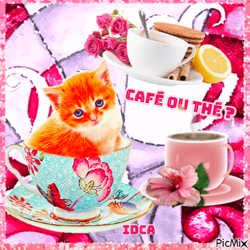 Café ou thé  ? - Free animated GIF