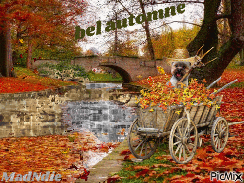bel automne - Gratis animeret GIF