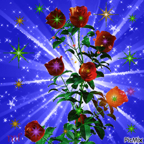 une fleur parmis les etoilles - Darmowy animowany GIF