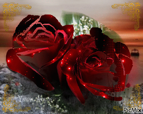 roses gif - PicMix