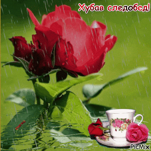 розов дъжд - Nemokamas animacinis gif