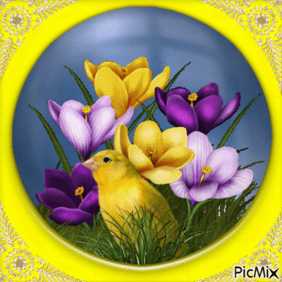 spring flowers - Gratis geanimeerde GIF