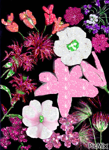 kvety - Gratis animerad GIF