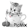 gattino e cuoricini - Gratis geanimeerde GIF