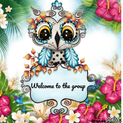 welcome owl - Free PNG