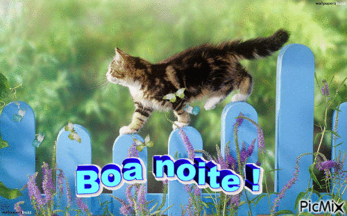 BOA NOITE - Безплатен анимиран GIF