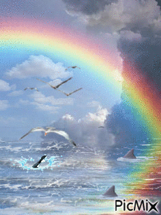 THE OCEAN AFTER A STORM, A BIG RAINBOWSEA GULS FLYING, ONE AFTER A FISH THAT IS JUMPING, TWO SHARK FINS, FLUFFY CLOUDS. - Gratis geanimeerde GIF
