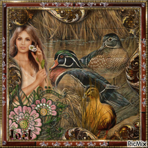jolie femme et les canards - Nemokamas animacinis gif