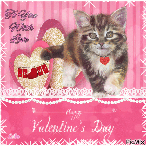 To you with Love. Happy Valentine Day. Cat - Free animated GIF