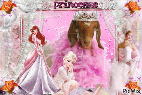 La biquette princesse - 無料のアニメーション GIF
