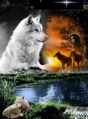 mes loups - Ingyenes animált GIF