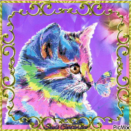 Gato arco-íris - Nemokamas animacinis gif