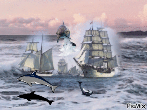 la magie de la mer agitee - Animovaný GIF zadarmo