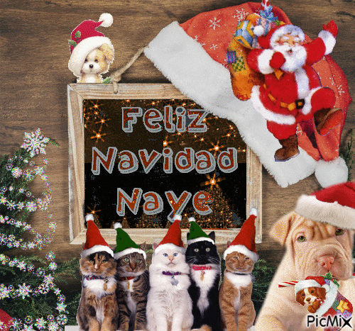 Navidad Naye - Darmowy animowany GIF