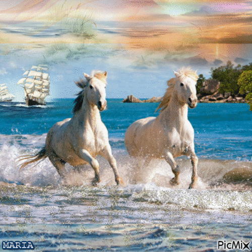 HORSES - Free animated GIF