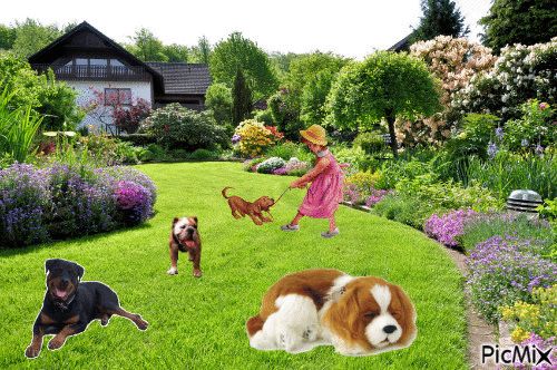 les chiens dans le jardin - 無料のアニメーション GIF