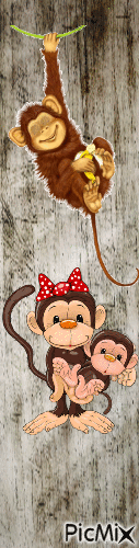 Monkeying around - Безплатен анимиран GIF