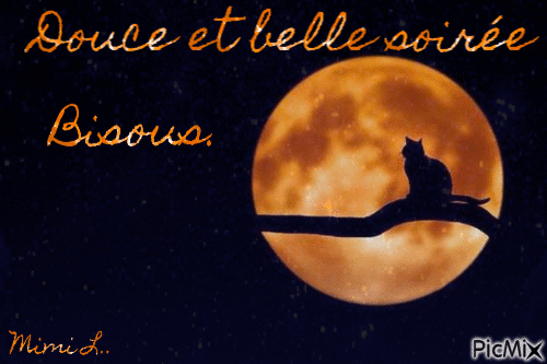 douce et belle soiree lune - Bezmaksas animēts GIF