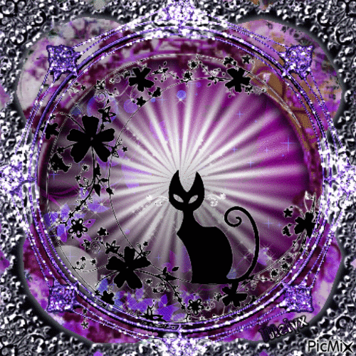 black cat of the moon flower - Nemokamas animacinis gif