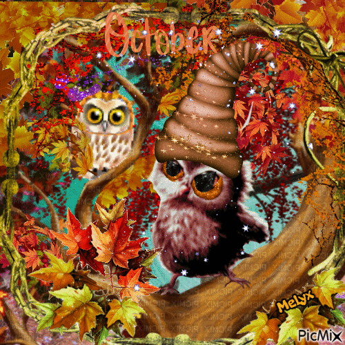 October owls - GIF animado gratis