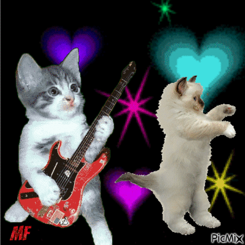 les chats qui fonts de la musique - Zdarma animovaný GIF