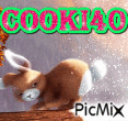 cooki - GIF animado gratis