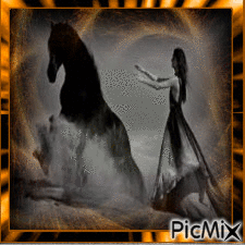 Passion chevaux - Zdarma animovaný GIF
