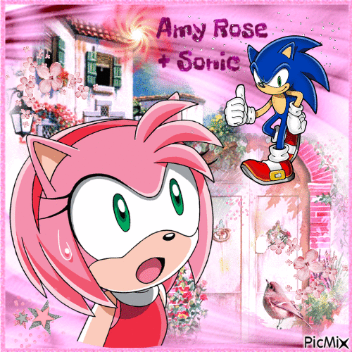 Amy Rose + Sonic - Бесплатни анимирани ГИФ