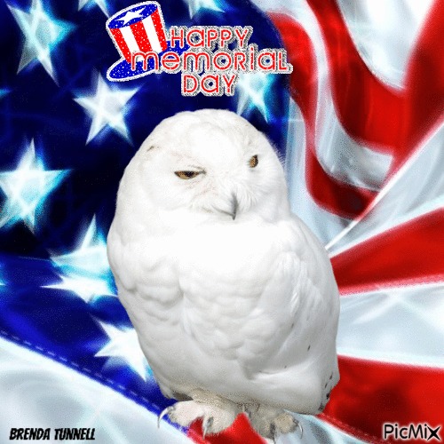memorial day owl - png gratuito