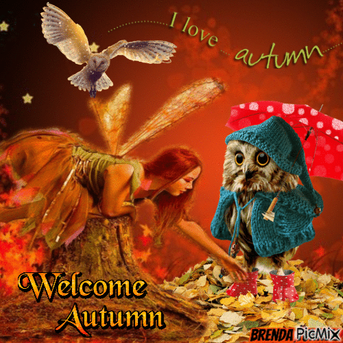 autumn owl - GIF animasi gratis