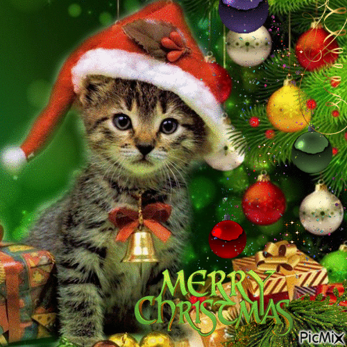 Christmas Cat - Bezmaksas animēts GIF