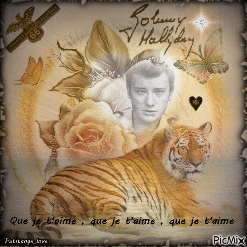 Hommage à Mr Johnny Hallyday - Free animated GIF