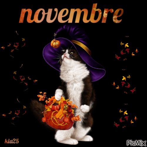 novembre35 - Ücretsiz animasyonlu GIF