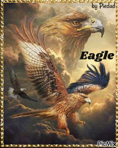 EAGLE - Безплатен анимиран GIF