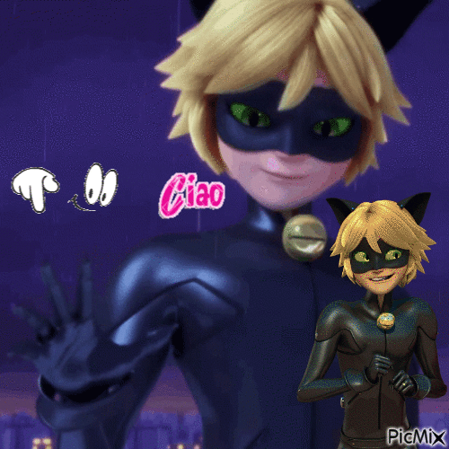 Miraculous - Chat Noir - Free animated GIF