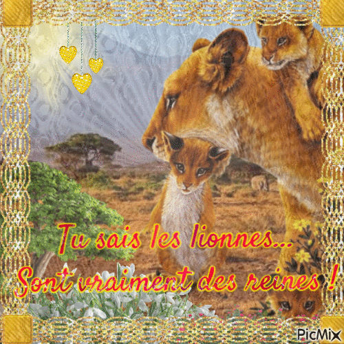 Les lionnes... - 無料のアニメーション GIF