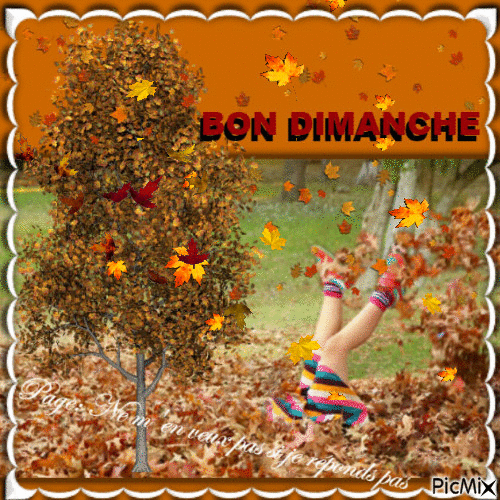 automne - Free animated GIF