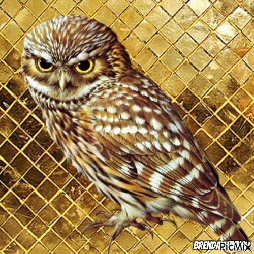owl - png gratuito