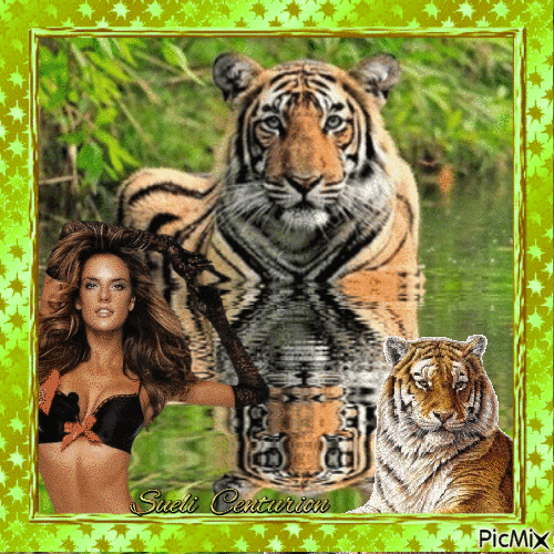 A Mulher e seus tigres - GIF animé gratuit