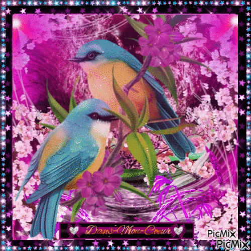 Mon oiseau - Darmowy animowany GIF