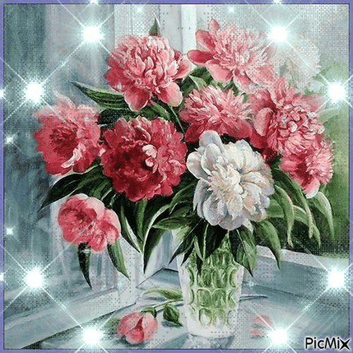 Bazsarózsa csokor pink és fehér virág! - GIF animé gratuit