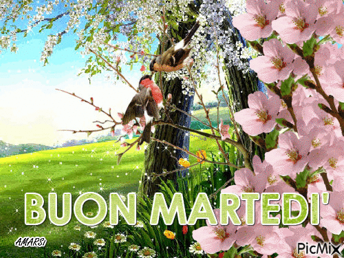 BUON MARTEDI' - Ingyenes animált GIF